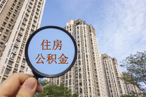 新泰离职多久可以取住房公积金（离职多久后能取公积金）